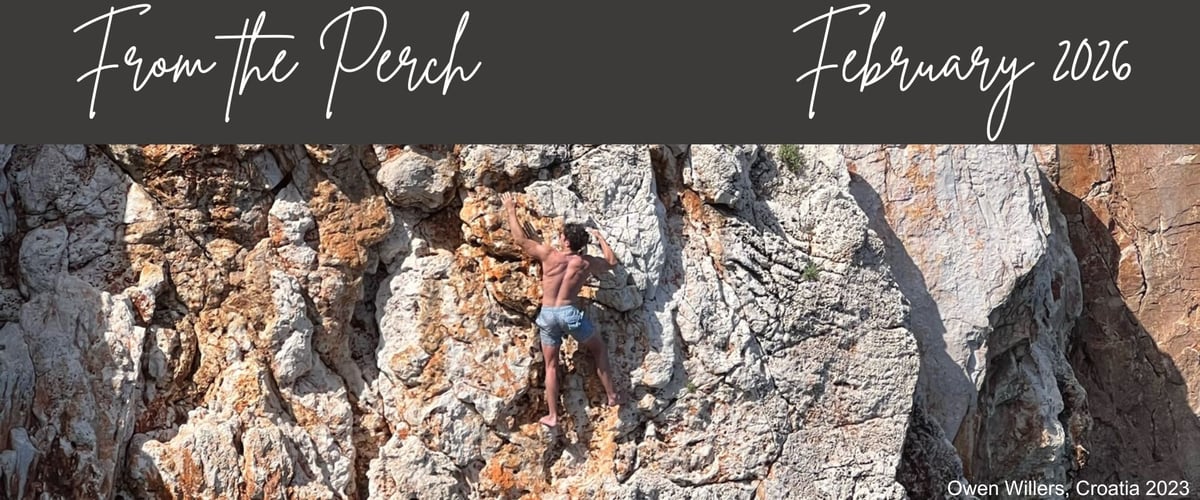 From the Perch - February 2026