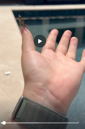 Too much screen time got you feeling low? You’re not alone.